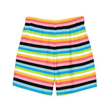 Queer Flag Swim Trunks