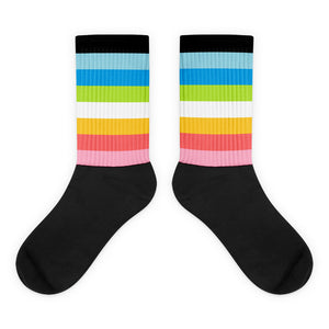 Queer Flag Socks