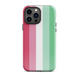 Abrosexual Flag Tough iPhone Case