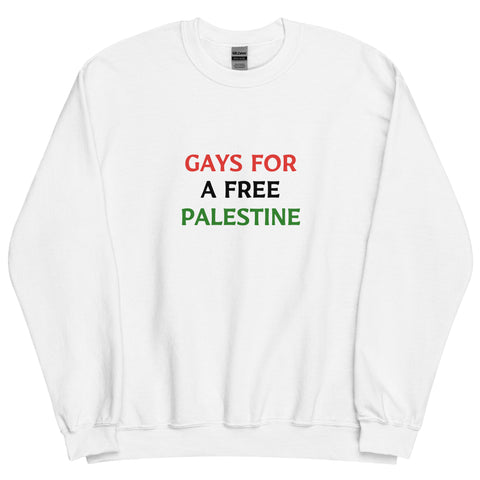GAYS FOR A FREE PALESTINE sweatshirt