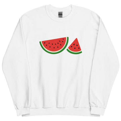WATERMELON sweatshirt