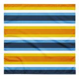 AroAce Flag Bandana