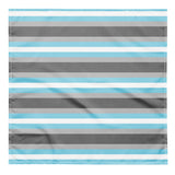 Demiboy Flag Bandana