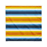 AroAce Flag Bandana