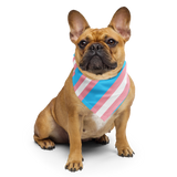 Transgender Flag Bandana