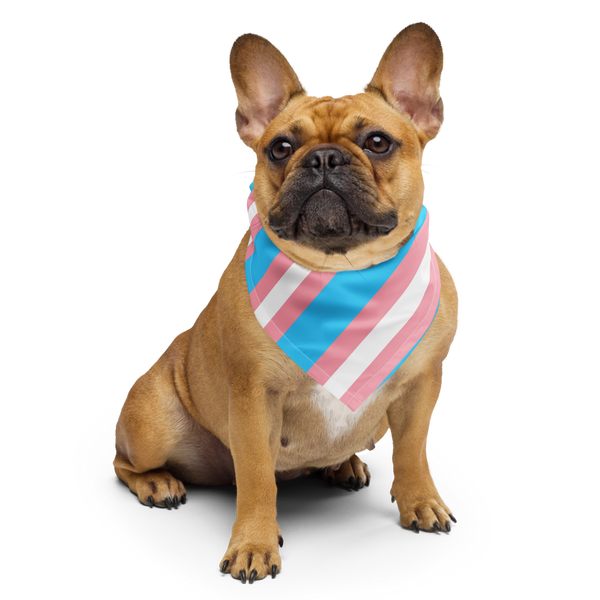 Transgender Flag Bandana