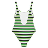 Aromantic / Demiromantic Flag One-Piece Swimsuit