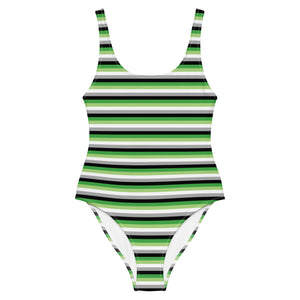 Aromantic Flag One-Piece Swimsuit