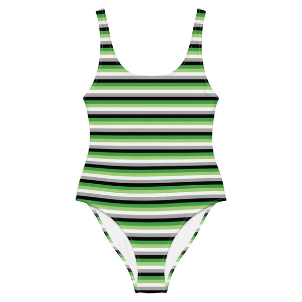 Aromantic Flag One-Piece Swimsuit