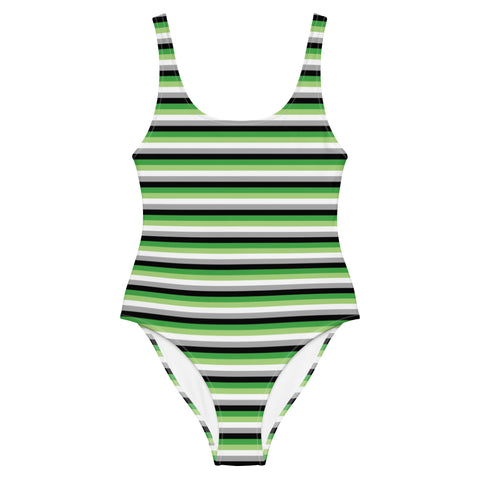 Aromantic Flag One-Piece Swimsuit