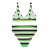 Aromantic / Demiromantic Flag High-Waisted Bikini