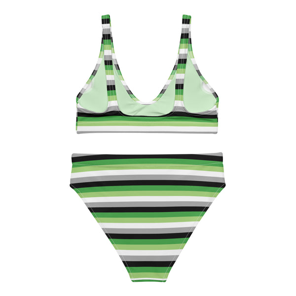 Aromantic Flag High-Waisted Bikini