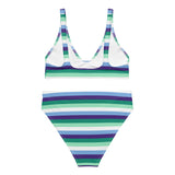 Gay / MLM Flag High-Waisted Bikini