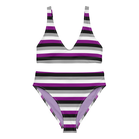 Asexual / Demisexual Flag High-Waisted Bikini