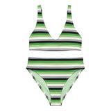 Aromantic / Demiromantic Flag High-Waisted Bikini