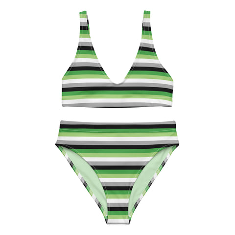 Aromantic Flag High-Waisted Bikini