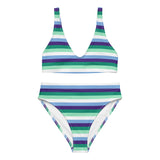 Gay / MLM Flag High-Waisted Bikini