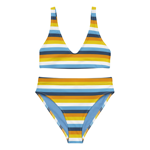 AroAce Flag High-Waisted Bikini