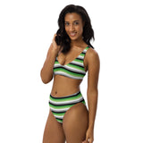 Aromantic / Demiromantic Flag High-Waisted Bikini