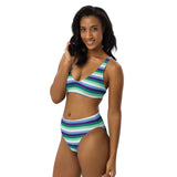 Gay / MLM Flag High-Waisted Bikini