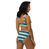Gay / MLM Flag High-Waisted Bikini