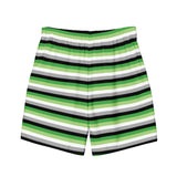 Aromantic / Demiromantic Flag Swim Trunks