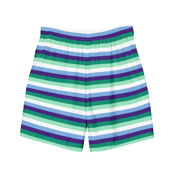 Gay / MLM Flag Swim Trunks