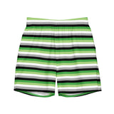 Aromantic / Demiromantic Flag Swim Trunks