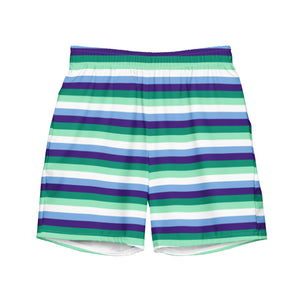 Gay / MLM Flag Swim Trunks