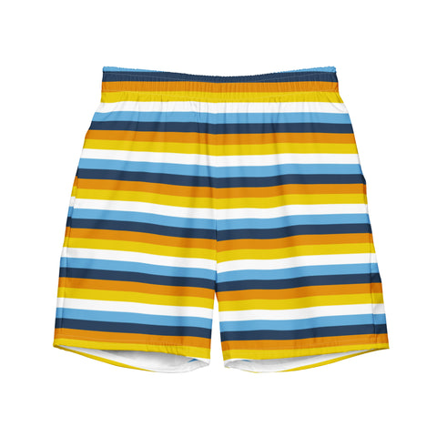 AroAce Flag Swim Trunks