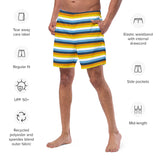 AroAce Flag Swim Trunks