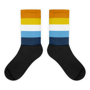 AroAce Flag Socks