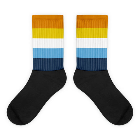 AroAce Flag Socks