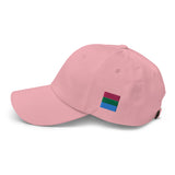 Polysexual Flag Baseball Hat