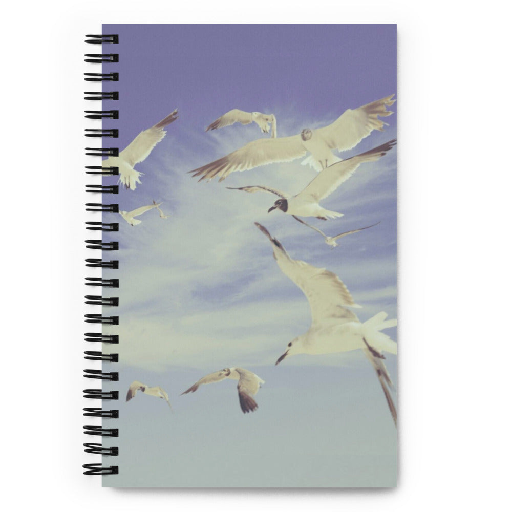 1989 Sky Spiral Notebook