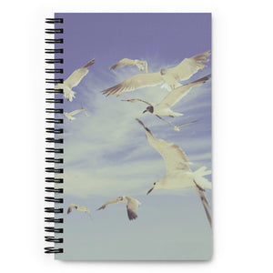 1989 Sky Spiral Notebook