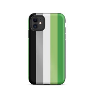 Aromantic Flag Tough iPhone Case