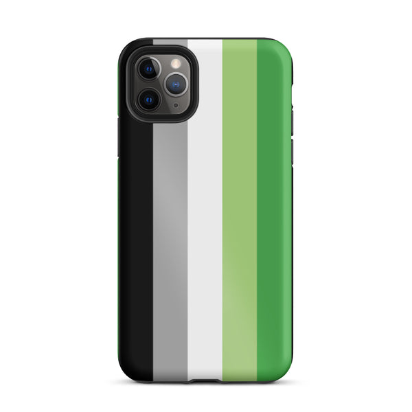 Aromantic Flag Tough iPhone Case
