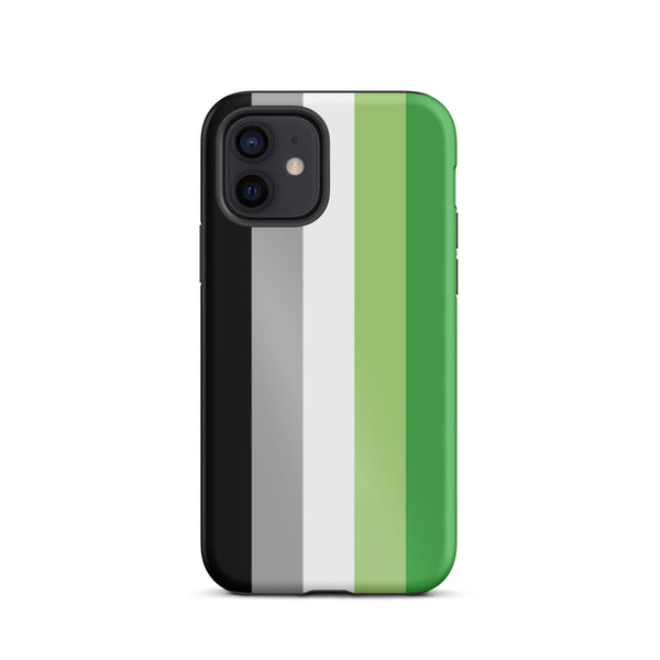 Aromantic Flag Tough iPhone Case