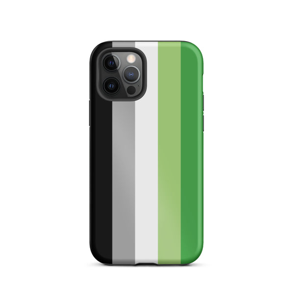 Aromantic Flag Tough iPhone Case