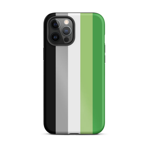 Aromantic Flag Tough iPhone Case