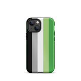 Aromantic Flag Tough iPhone Case