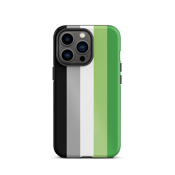 Aromantic Flag Tough iPhone Case