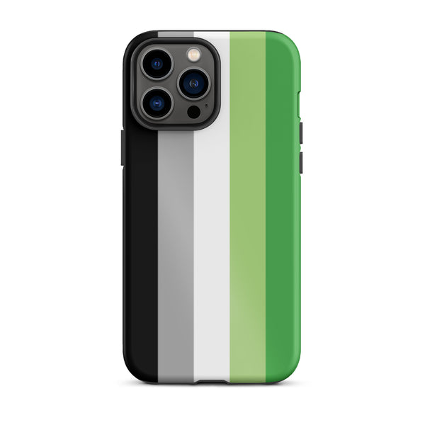 Aromantic Flag Tough iPhone Case