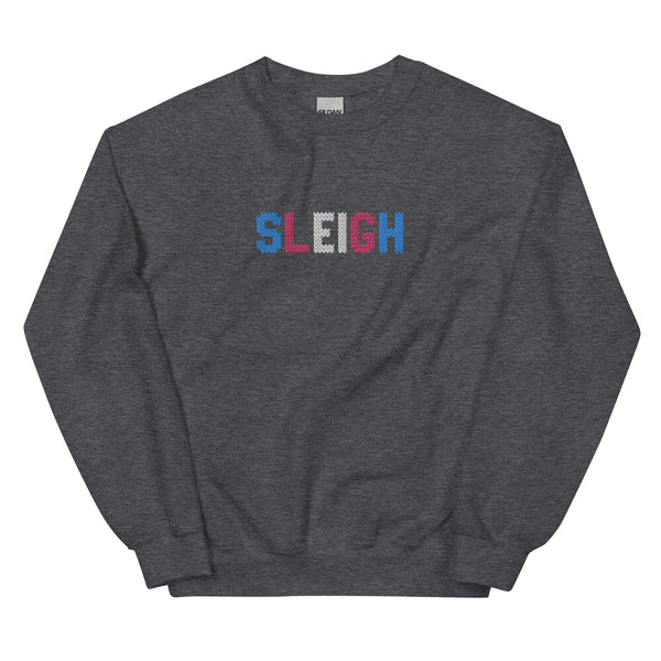 Transgender Sleigh Embroidered Sweatshirt