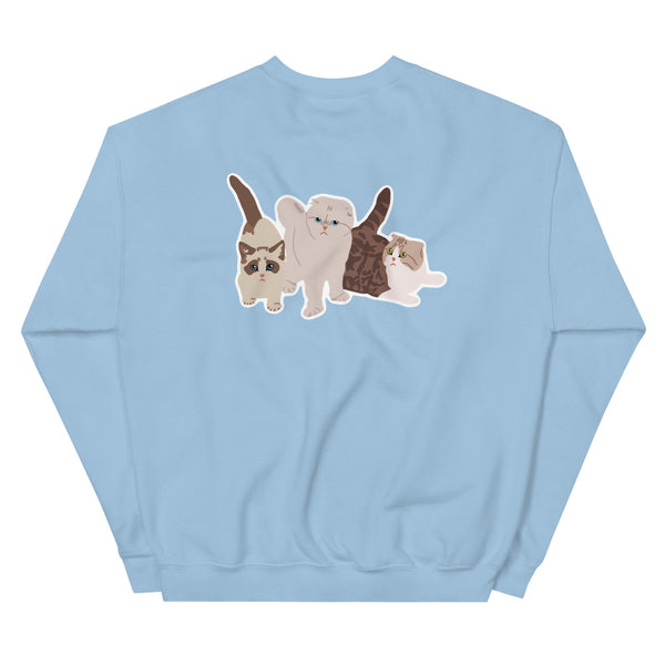 This is pretty much just a cat account Sweatshirt