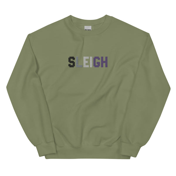 Asexual Sleigh Embroidered Sweatshirt