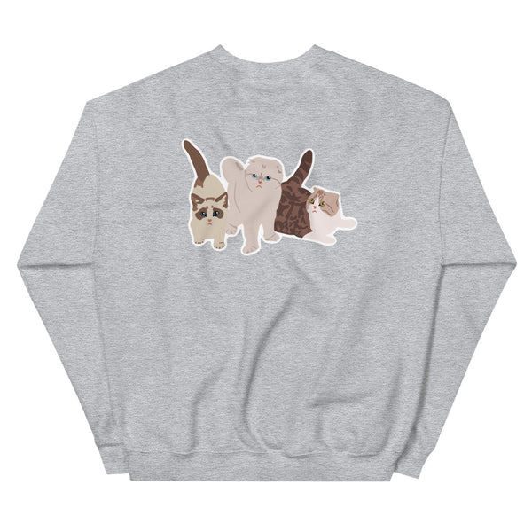 This is pretty much just a cat account Sweatshirt