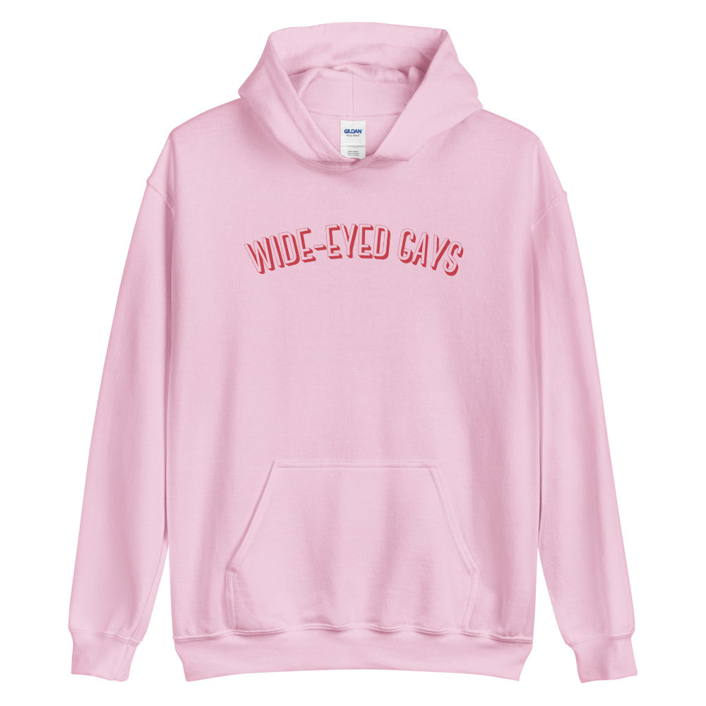 Wide-Eyed Gays Hoodie