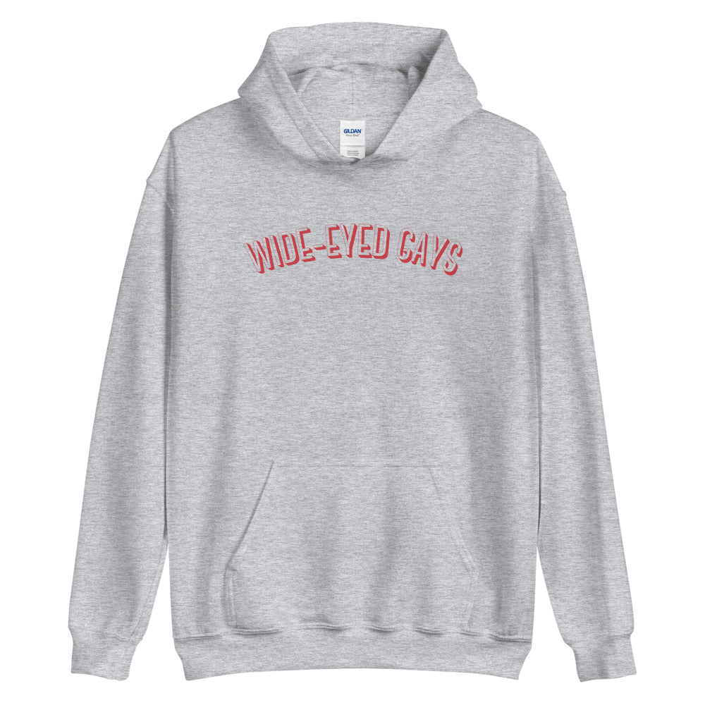 Wide-Eyed Gays Hoodie